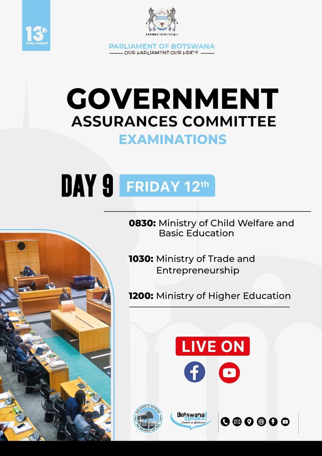 GOVERNMENT ASSURANCES COMMITTEE